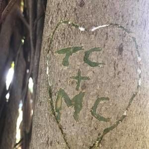 Meet your Posher, Maureen